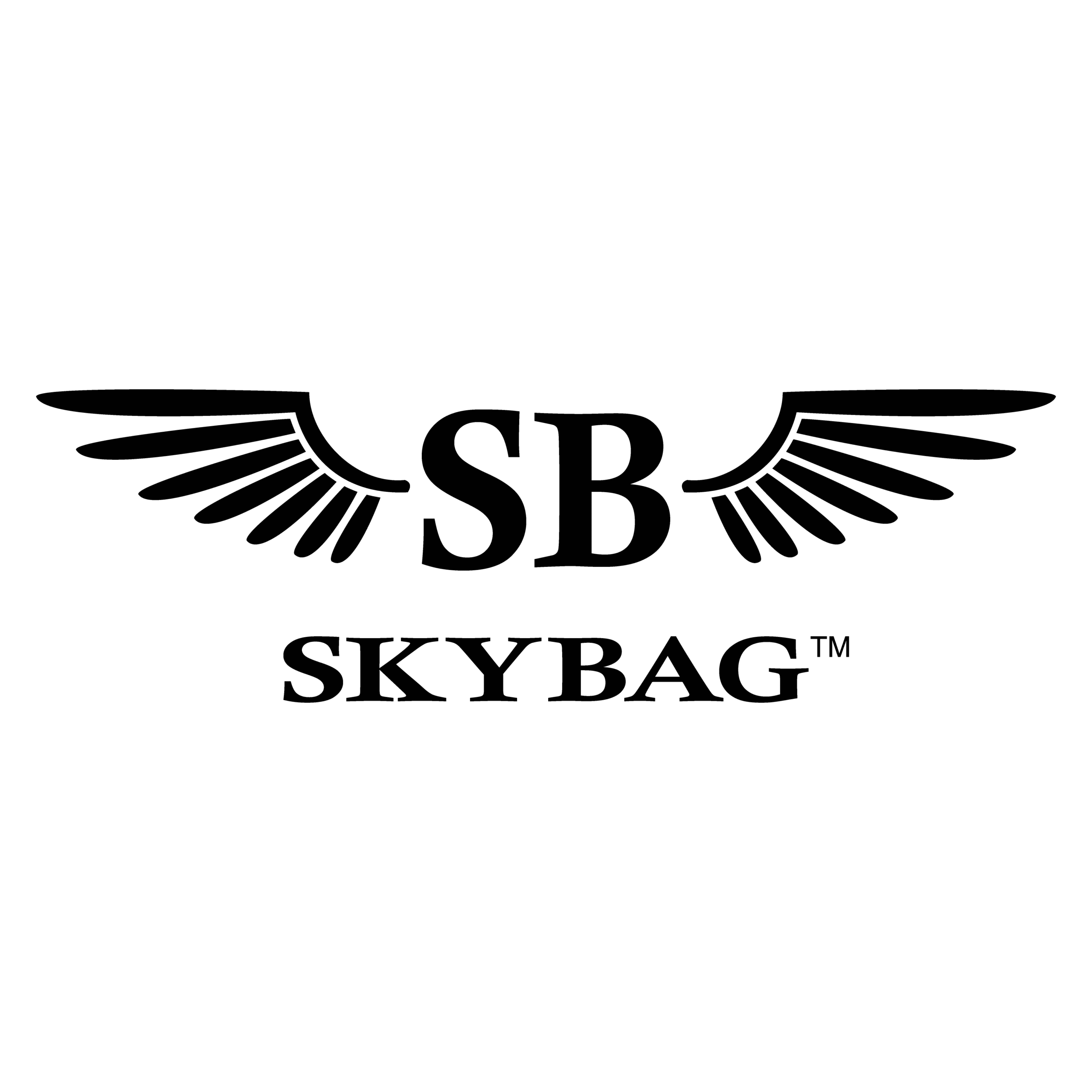 SkyBag