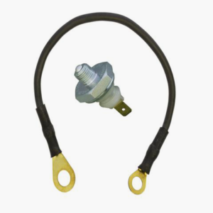 Fuel switch button