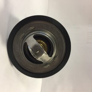Thermostat mte thomson